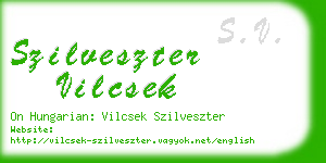 szilveszter vilcsek business card